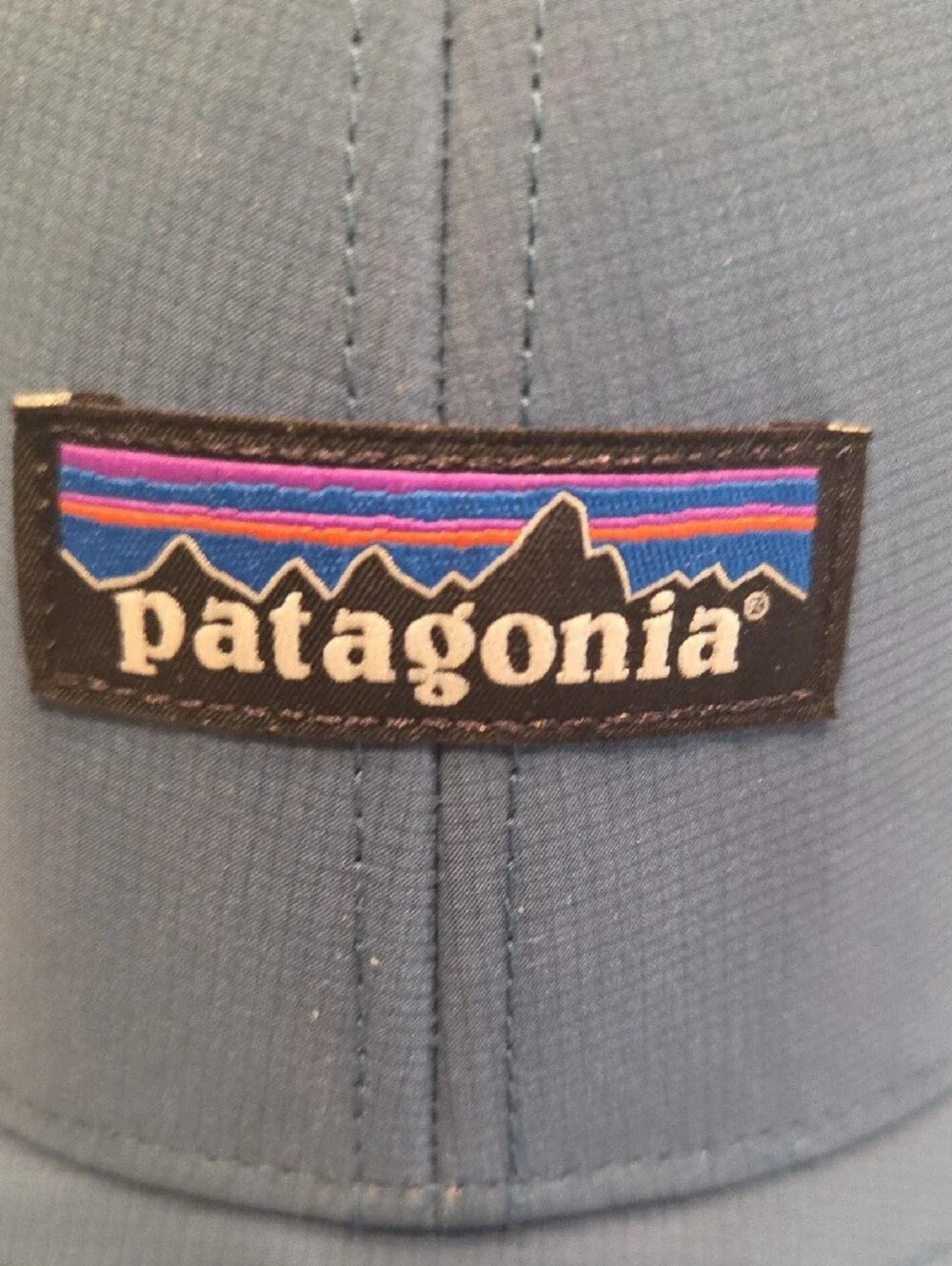 Patagonia Blue Logo Cap
